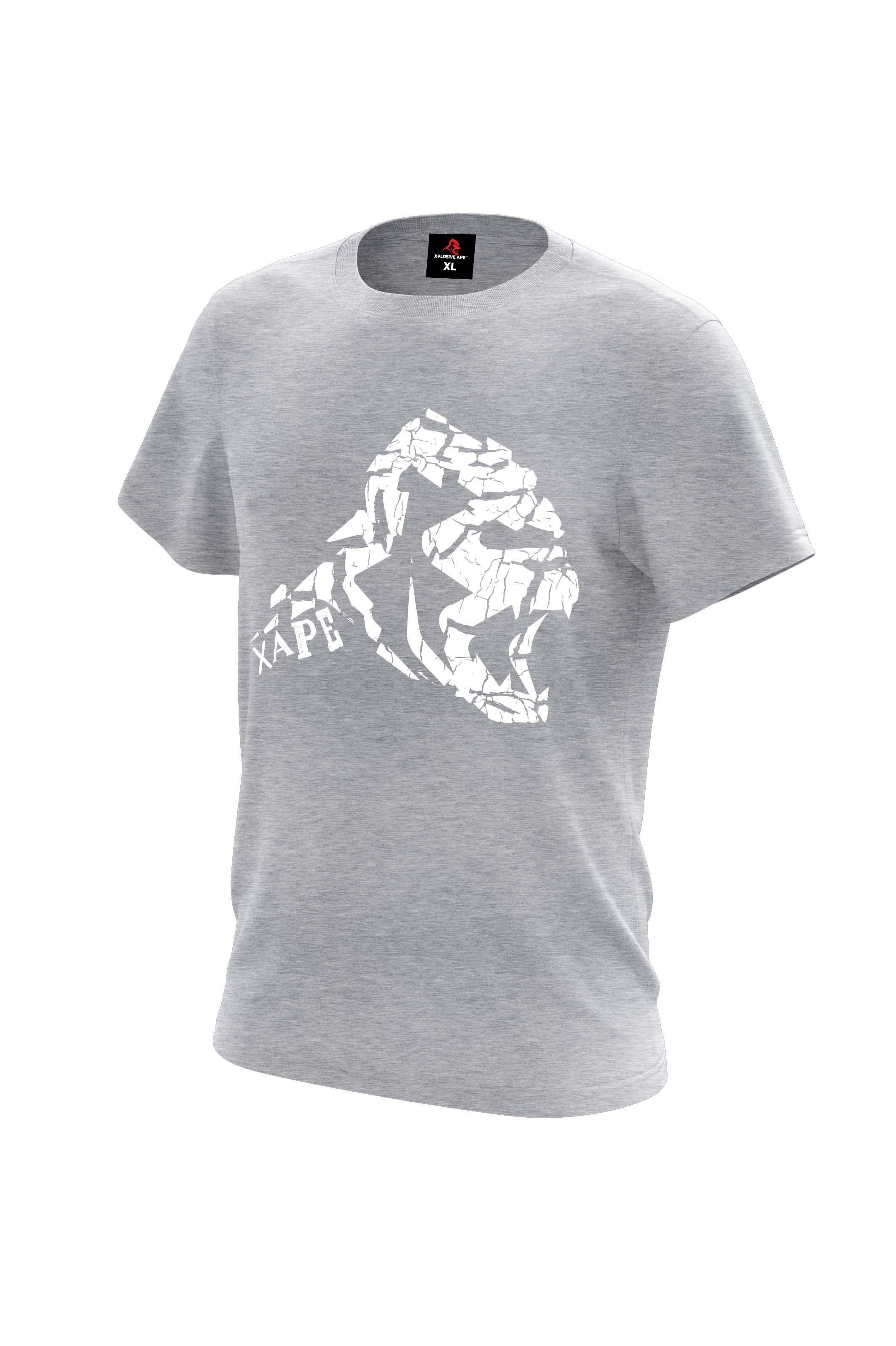 XAPE Cracked Earth Tee - Sports Grey